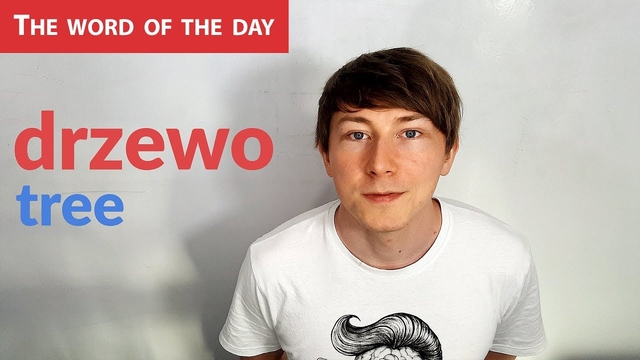 Learn Polish Language: The word of the day - drzewo